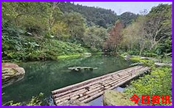五天四晚厦门旅游攻略